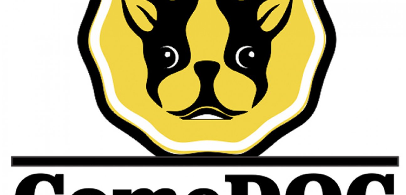 Alistan programa de comedores para perros en situación de calle