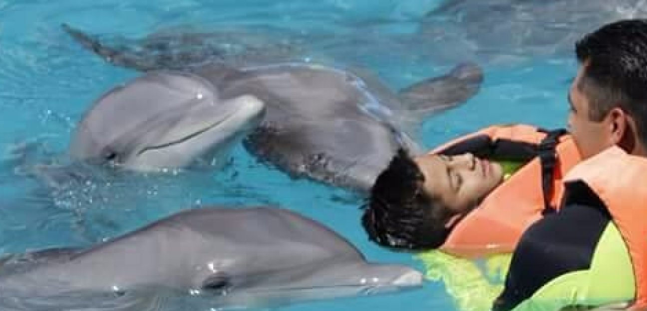 DIF de Soledad retomará programa de Terapia Asistida con Delfines