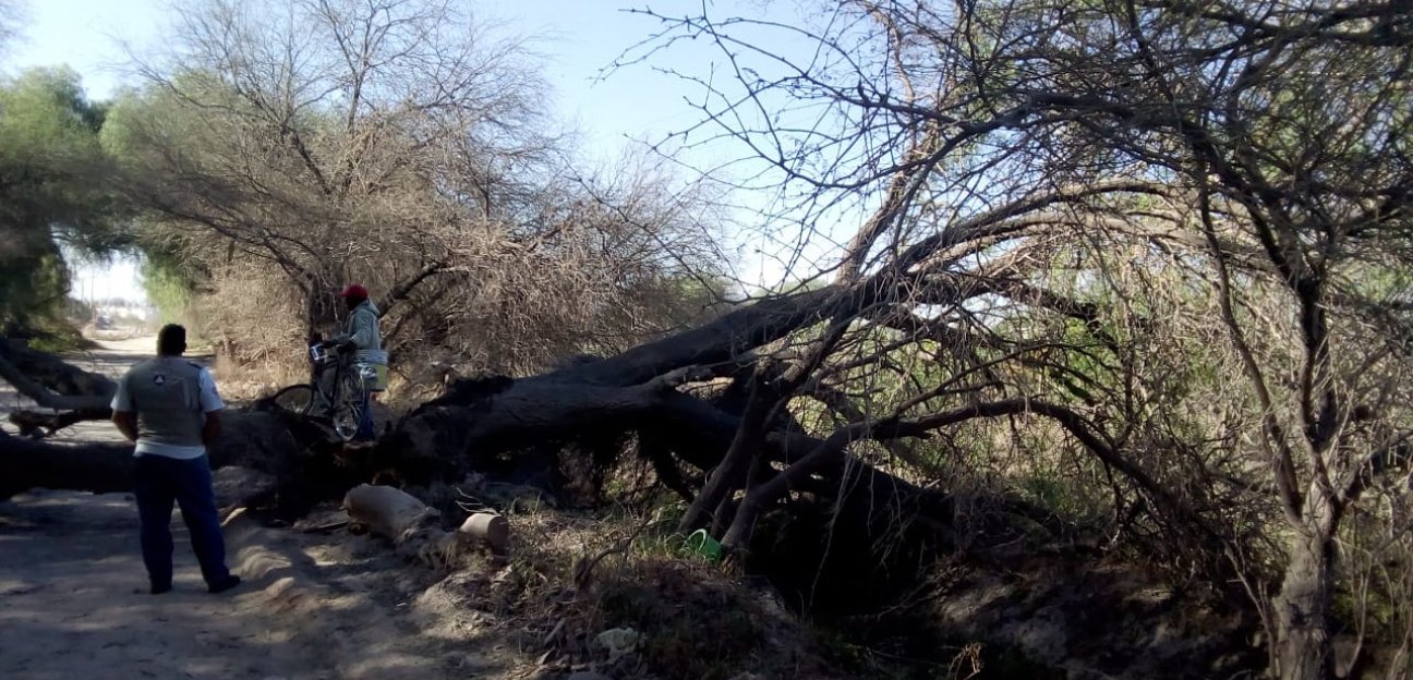 PC en alerta ante fuertes vientos en la Zona Metropolitana