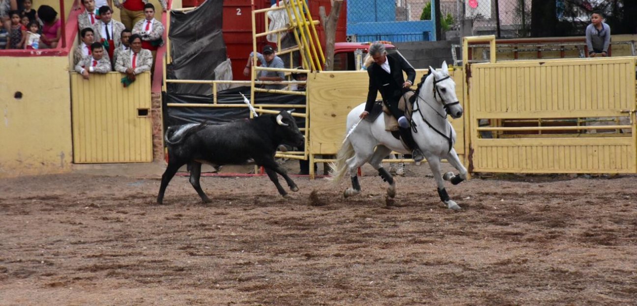 Triunfal Festival Taurino en Soledad