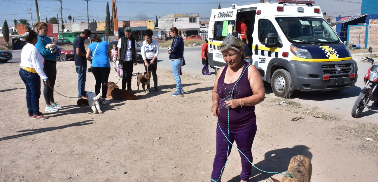 Logra Ambudog atender a más de 10 mil mascotas 