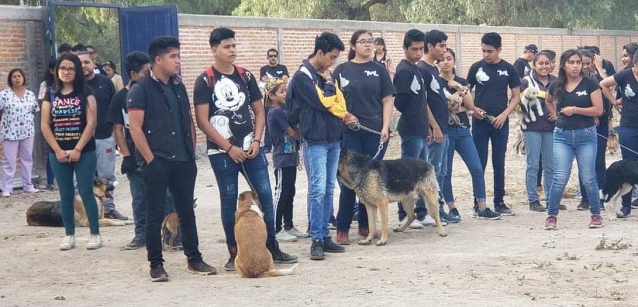 Sensibilizan a estudiantes soledenses en el respeto a los seres vivos 