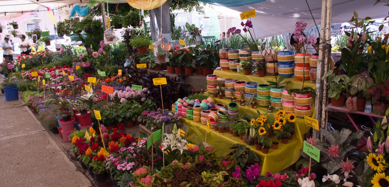 Atractivos espectáculos para toda la familia en la edición 2019 de la Feria de las Flores