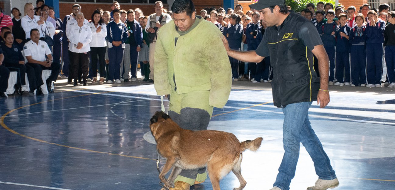Arrancará este lunes programa Policía Canina en planteles educativos de Soledad