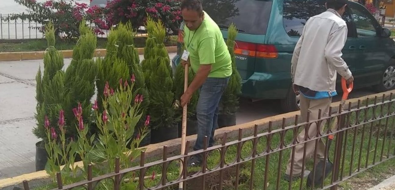 Servicios de reforestación se atienden como parte del programa Manos a la Obra