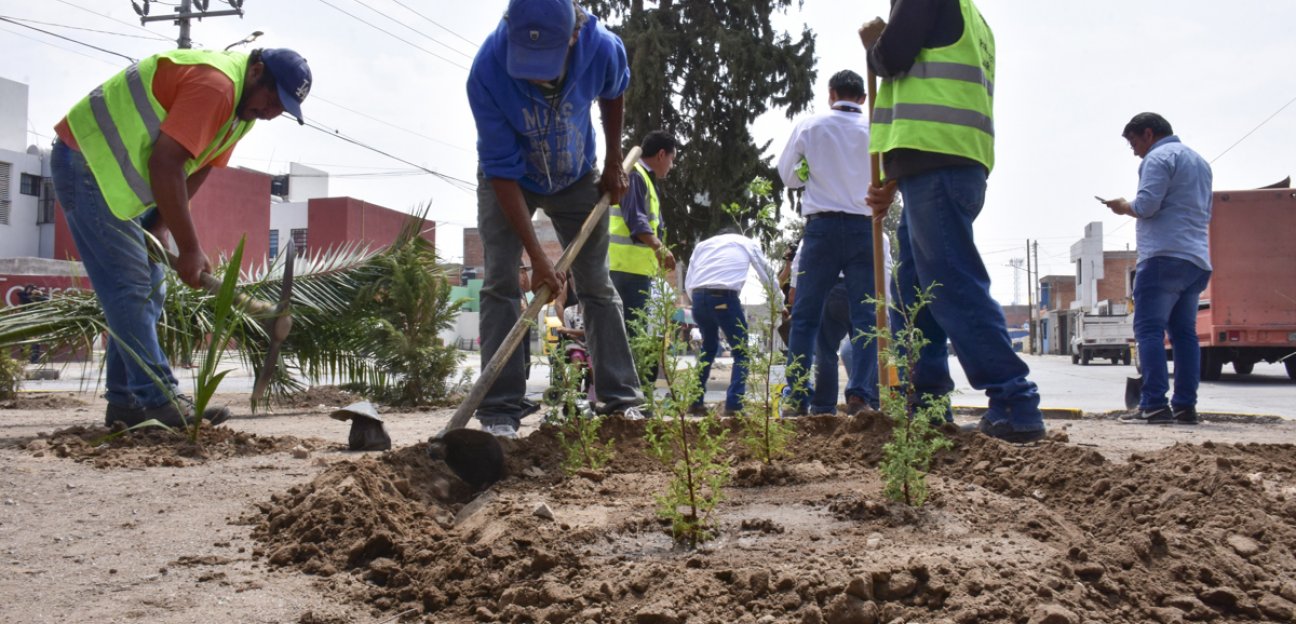 Se da mantenimiento a áreas verdes en beneficio de la ciudadanía