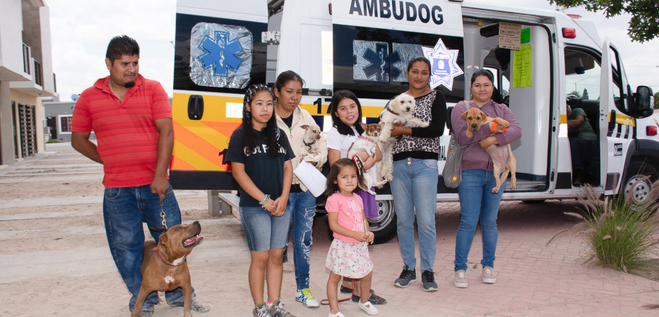Más de 1500 atenciones han ofrecido en el servicio de Ambudog
