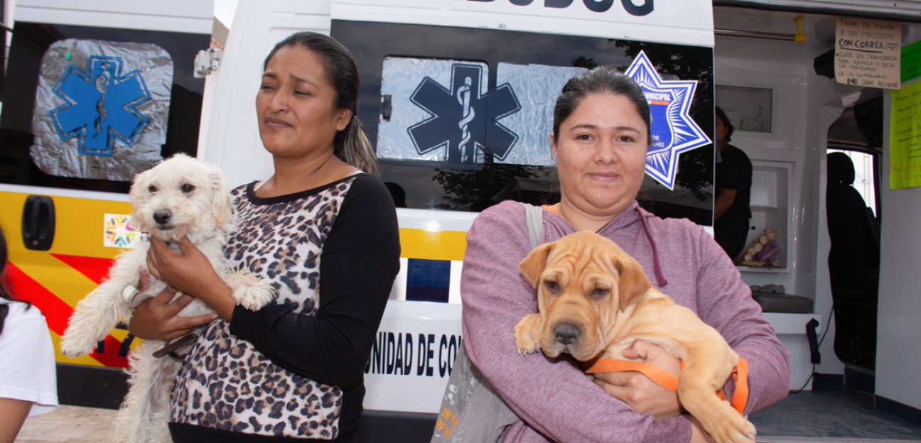 Continúa atención de Ambudog por diferentes puntos del municipio