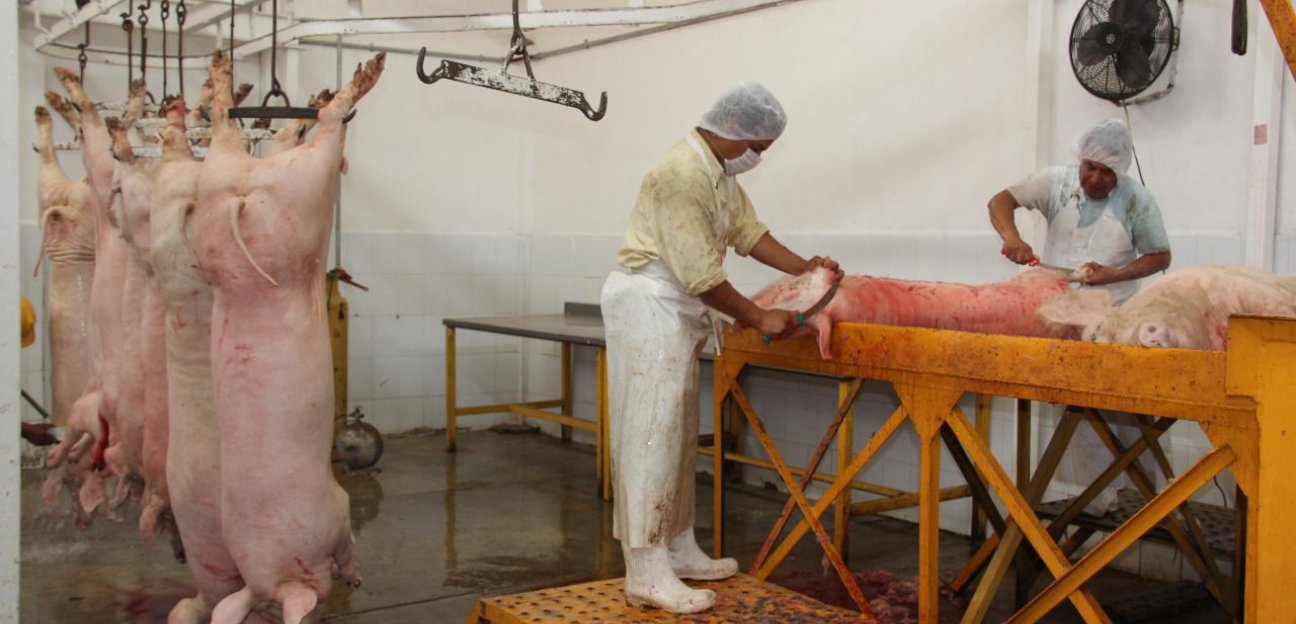 Rastro Municipal de Soledad iniciará el 2022 con una nueva cámara de refrigeración