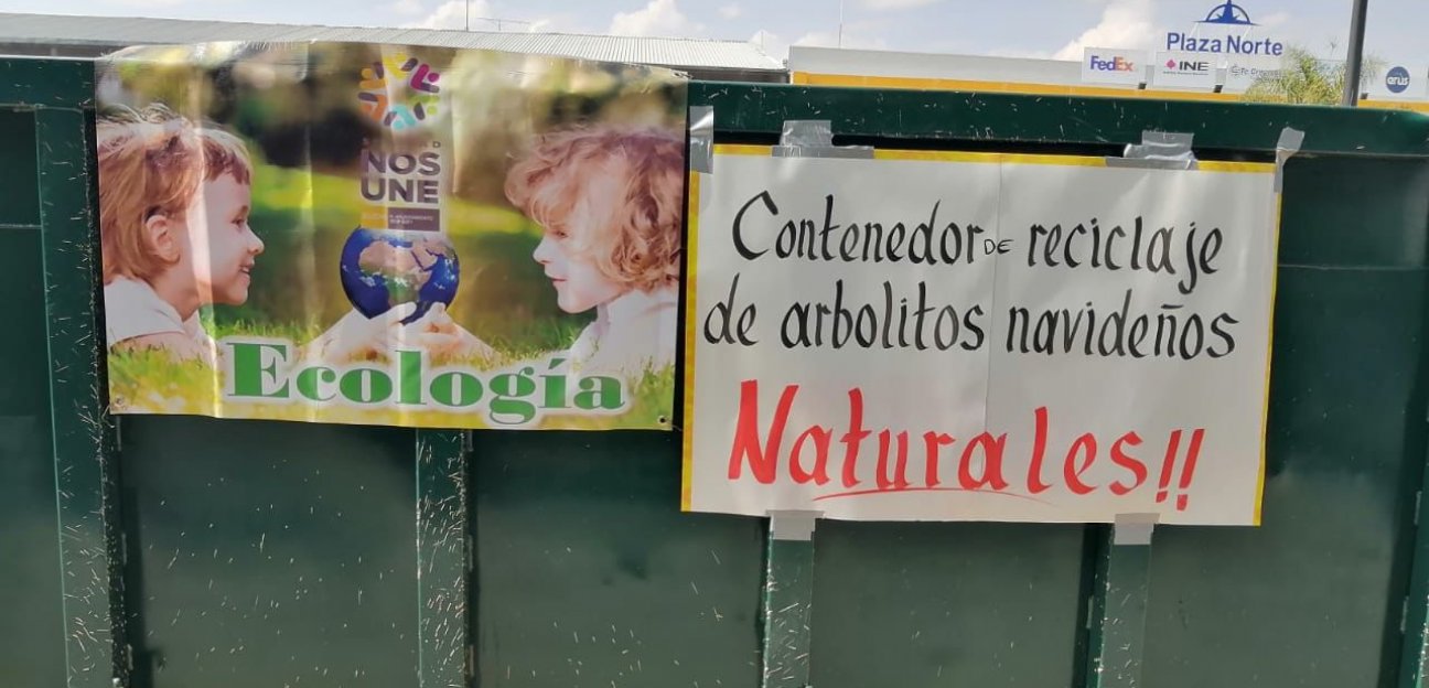 Servicios Municipales de Soledad contempla la instalación de centros de acopio para árboles navideños naturales