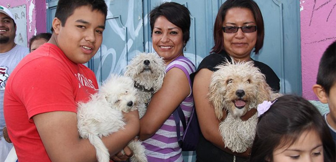 Alcaldesa trabaja para concientizar a la población sobre el maltrato animal