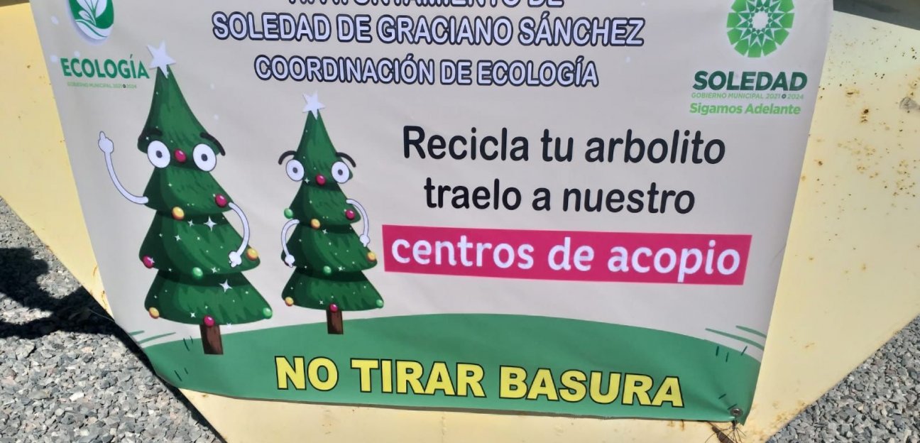 Sigue abierta la invitación para que los soledenses depositen su árbol de navidad en los centros de acopio