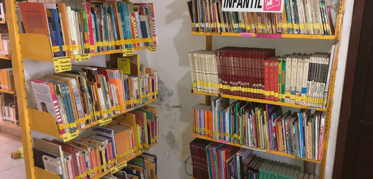 Pandemia ha incrementado el interés en la lectura en niños y niñas soledenses