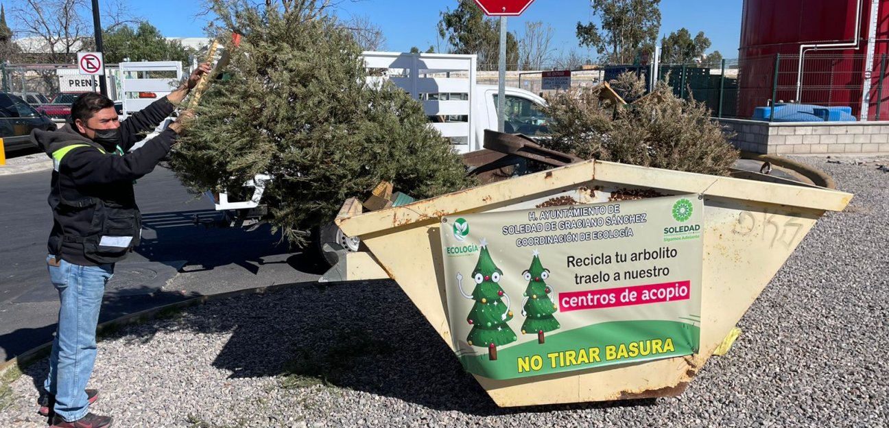 Concluye en Soledad de Graciano Sánchez la campaña Recicla tu Arbolito