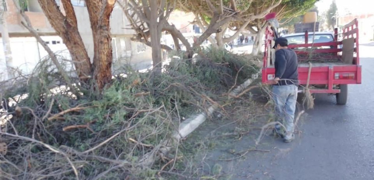 El departamento de Parque y Jardines se mantiene en alerta durante la temporada de vientos
