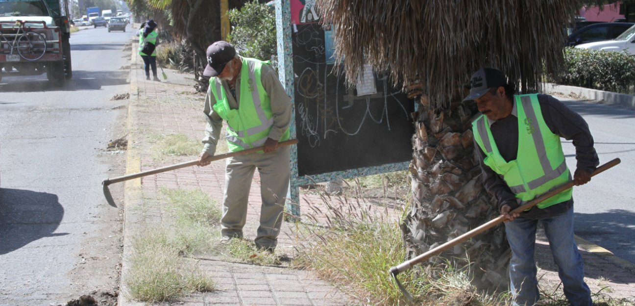 Habrá operativo nocturno para mantener calles y avenidas de Soledad limpias