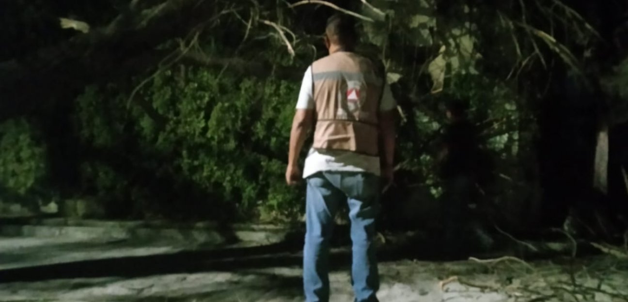 Protección Civil Municipal atiende reporte de árbol caído sobre un taller mecánico de la colonia San José