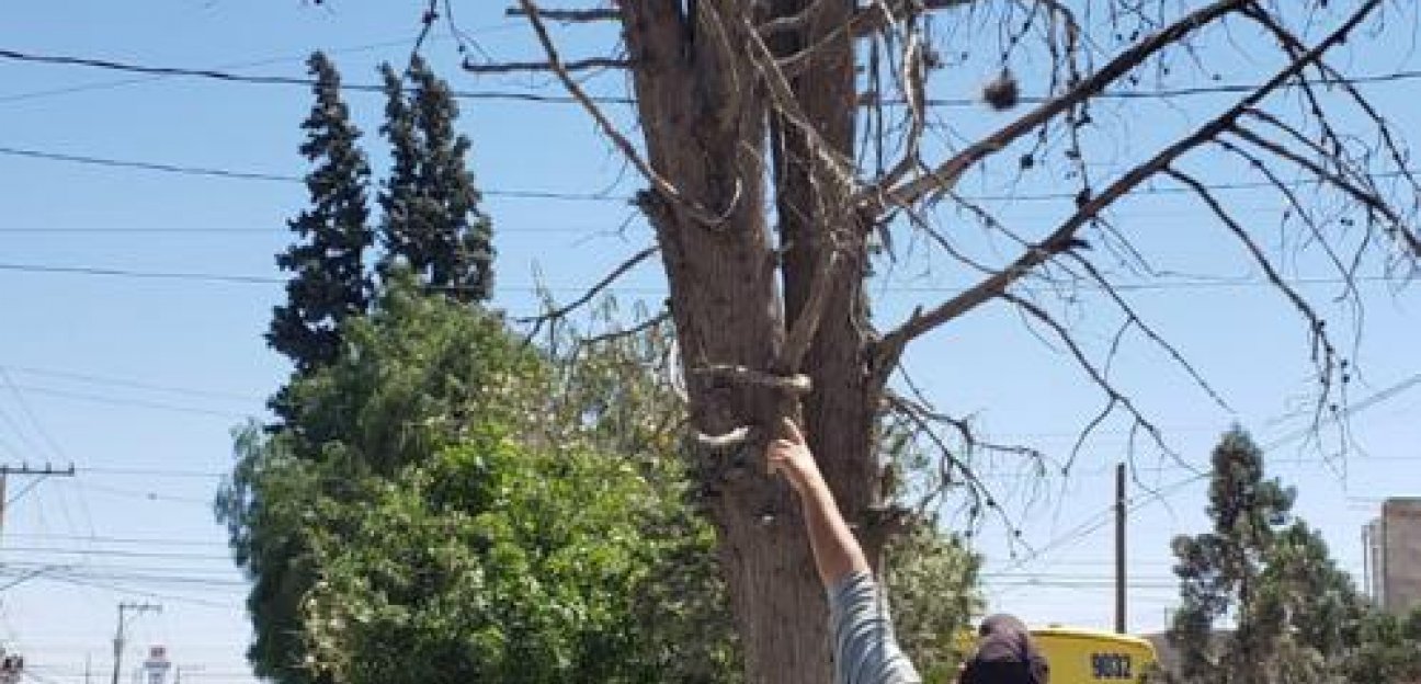 La dirección de Protección Civil de Soledad en alerta por fuertes vientos