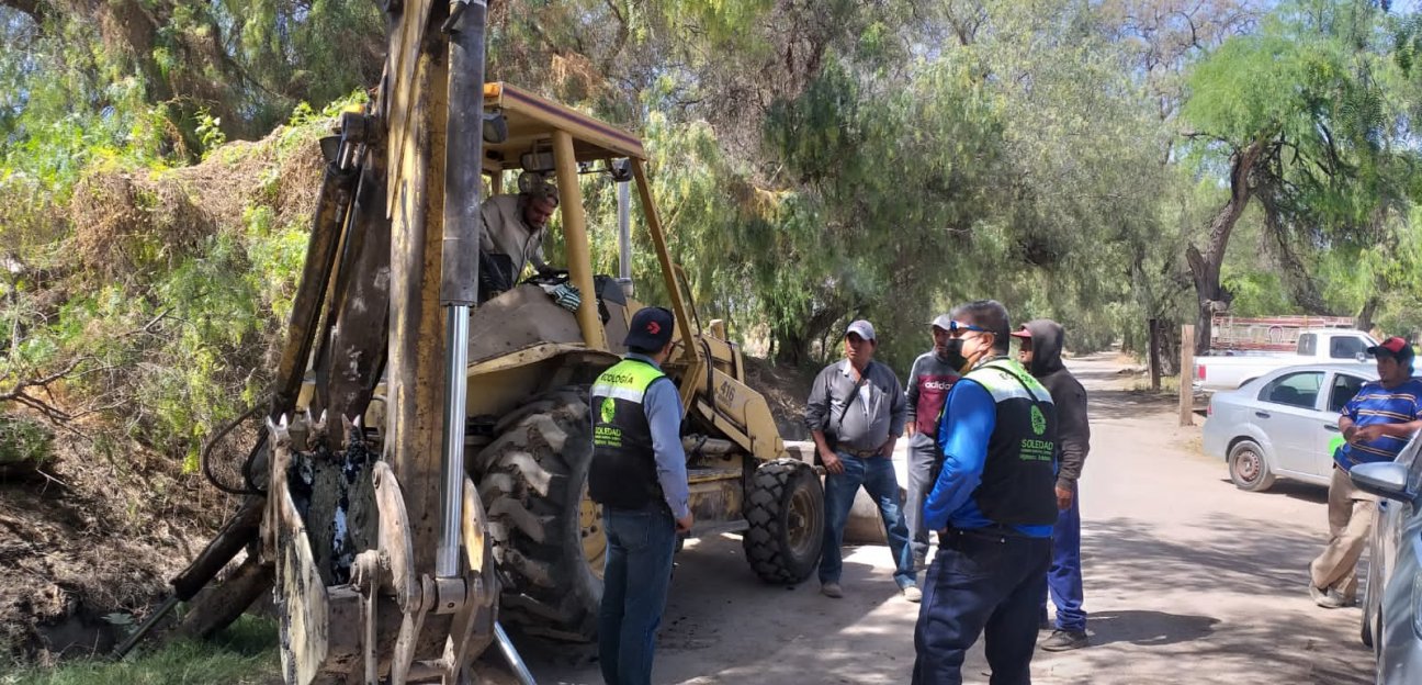Detectan criadero de porcinos que vertía desechos en el canal de colonia El Morro