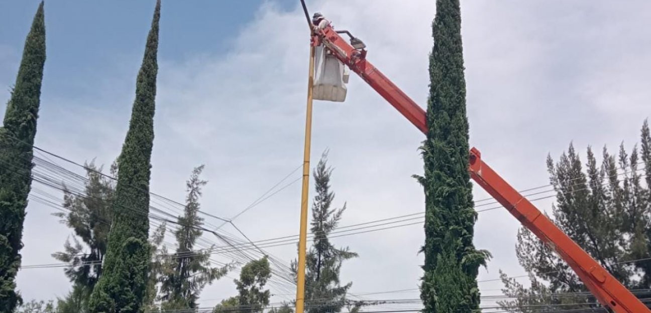 Soledad adelante con la reposición de luminarias