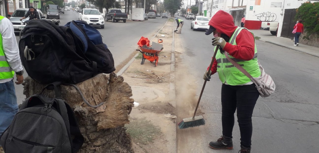 Diferentes direcciones del Ayuntamiento trabajan en el embellecimiento de áreas públicas de Soledad