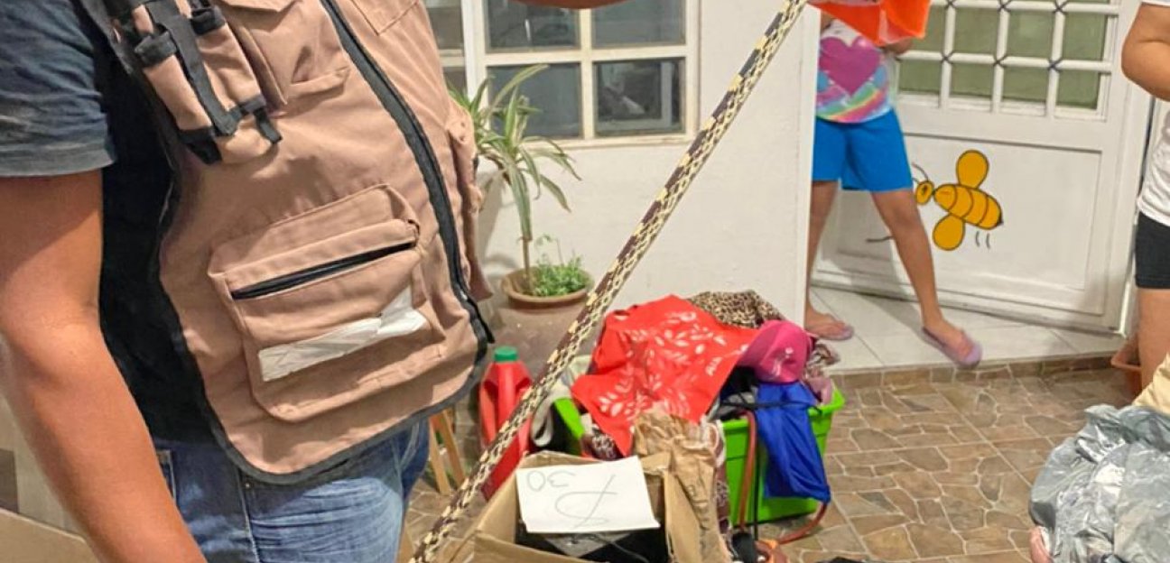 Protección Civil de Soledad asegura víbora en un domicilio de la colonia San Francisco