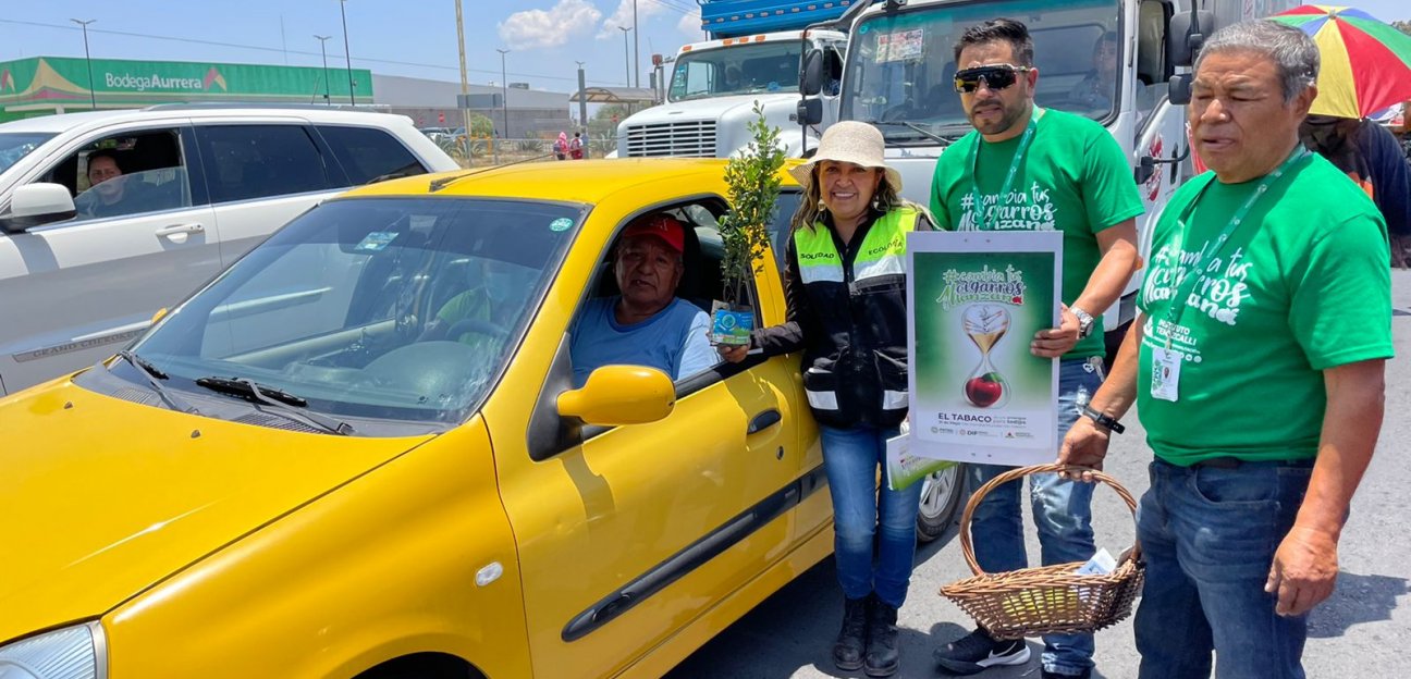 La Coordinación de Ecología entregó árboles en el marco del Día Mundial Sin Tabaco