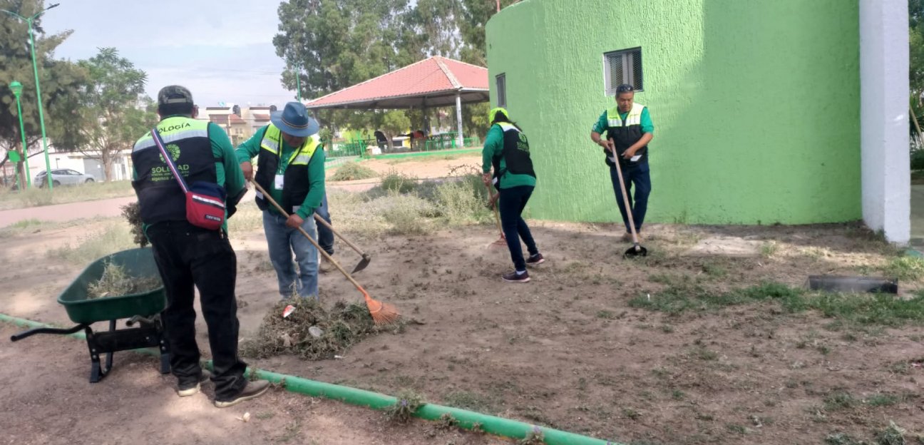 Reforestan Unidad Deportiva San Lorenzo en Soledad de Graciano Sánchez
