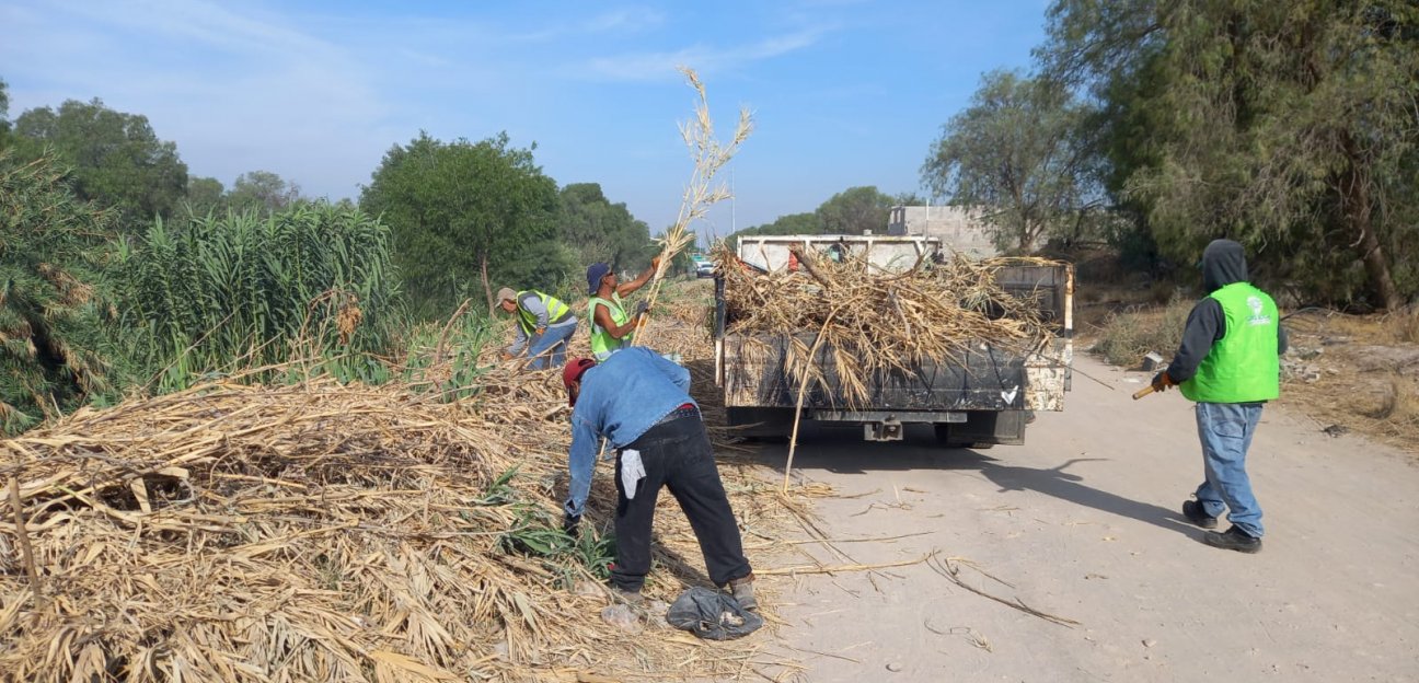 Ayuntamiento de Soledad realiza trabajos de rehabilitación en Camino Viejo a San Isidro