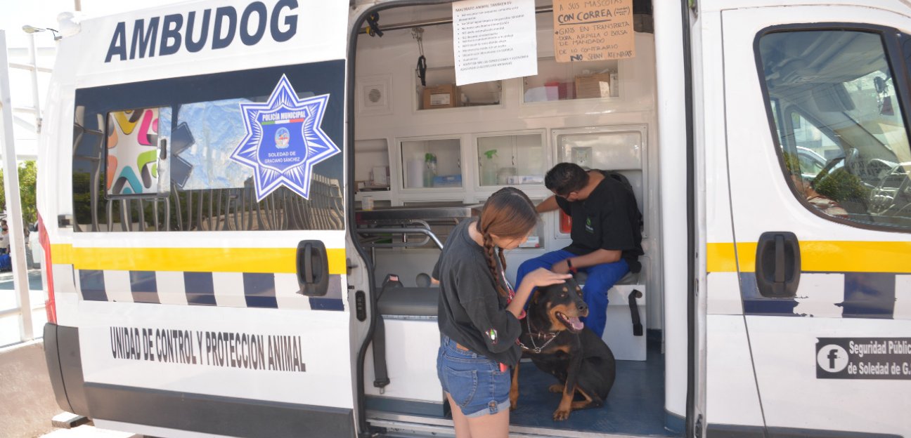 Ambudog ha brindado más de 150 servicios a través del programa Verde Ciudadano