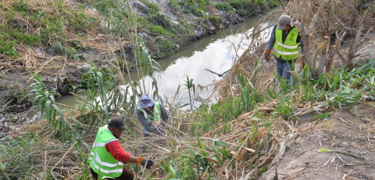 Diferentes áreas del Ayuntamiento de Soledad continúan con el trabajo de limpieza del Río Santiago