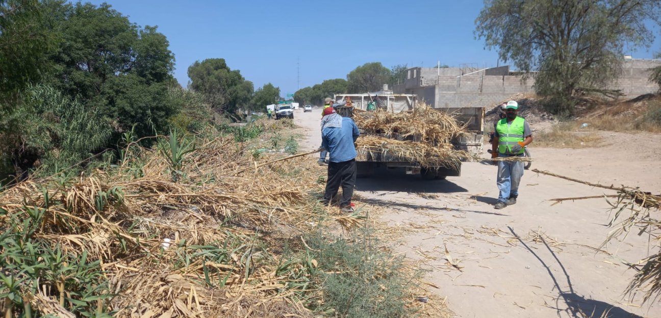 Trabajos de desazolve del Río Santiago continúan