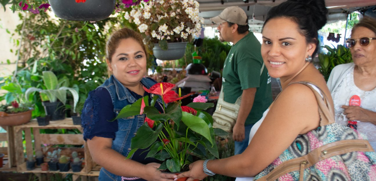 La dirección de Turismo invita a la inauguración de la Feria de las Flores en Soledad de Graciano Sánchez en su edición 2022