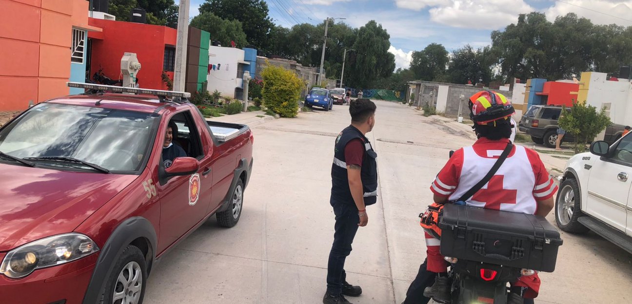 Atiende Protección Civil reporte de enjambre de abejas en Fraccionamiento Campo Bello