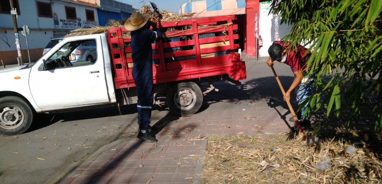 La dirección de Servicios Municipales de Soledad a través de Parques y Jardines monitorea árboles que representen algún riesgo en comunidades