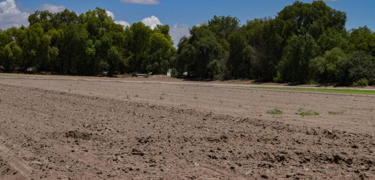 Ayuntamiento de Soledad preparado para apoyar a productores afectados por la sequía