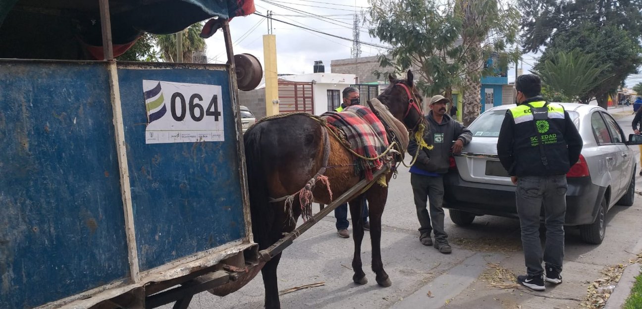 En Soledad de Graciano Sánchez no se emiten permisos para que operen los vehículos de tracción tirados por animales