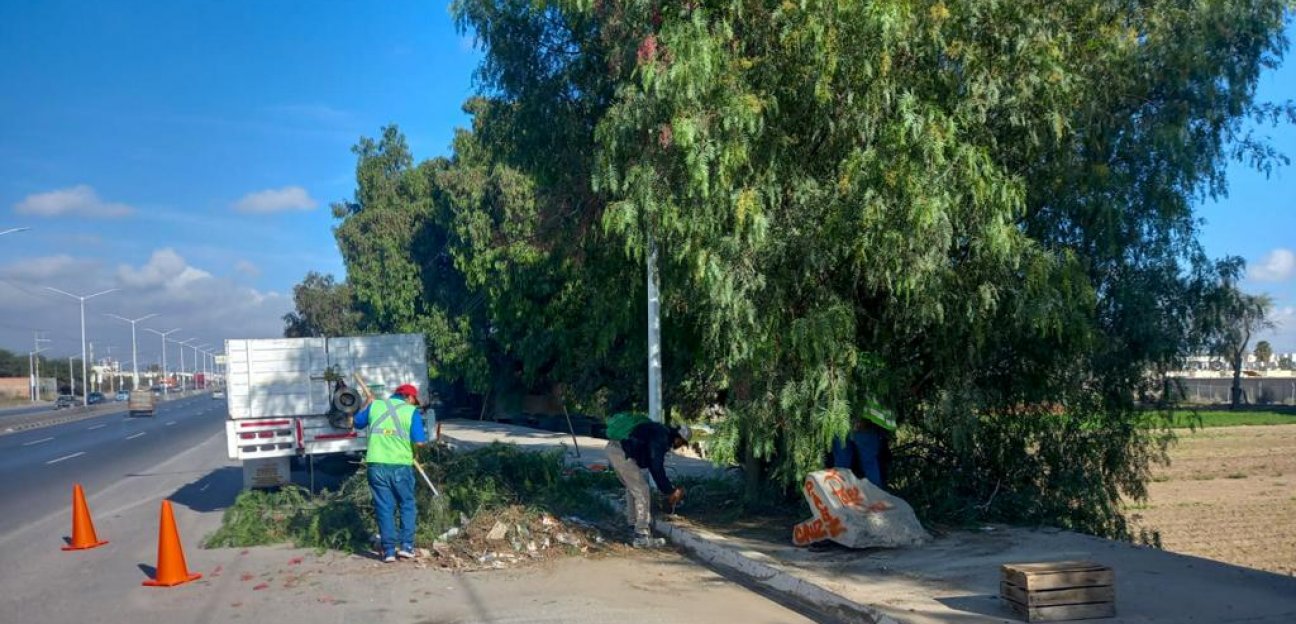 La Dirección de Servicios Municipales de Soledad realiza acciones de limpieza en algunos tramos del Circuito Potosí