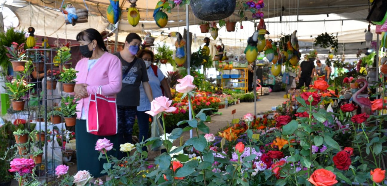 Expositores agradecen a autoridades municipales por las facilidades presentadas durante la Feria de las Flores