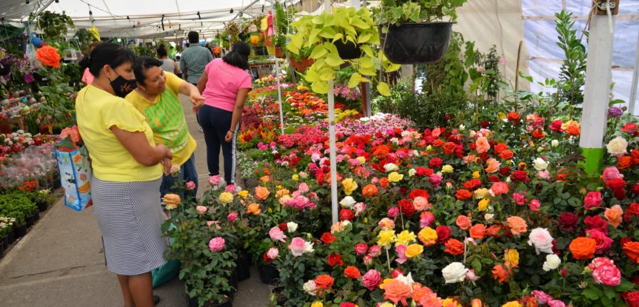 Invitan a disfrutar del último finde semana de la Feria de las Flores