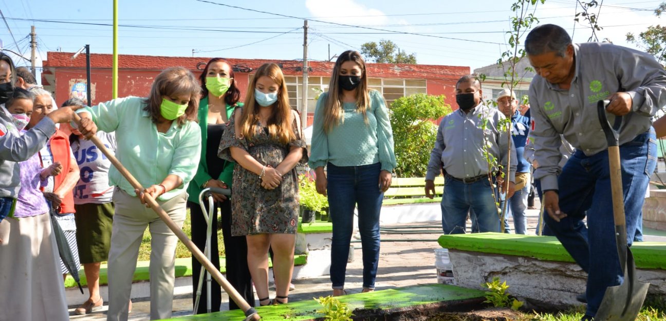 Alcaldesa entrega área pública reforestada