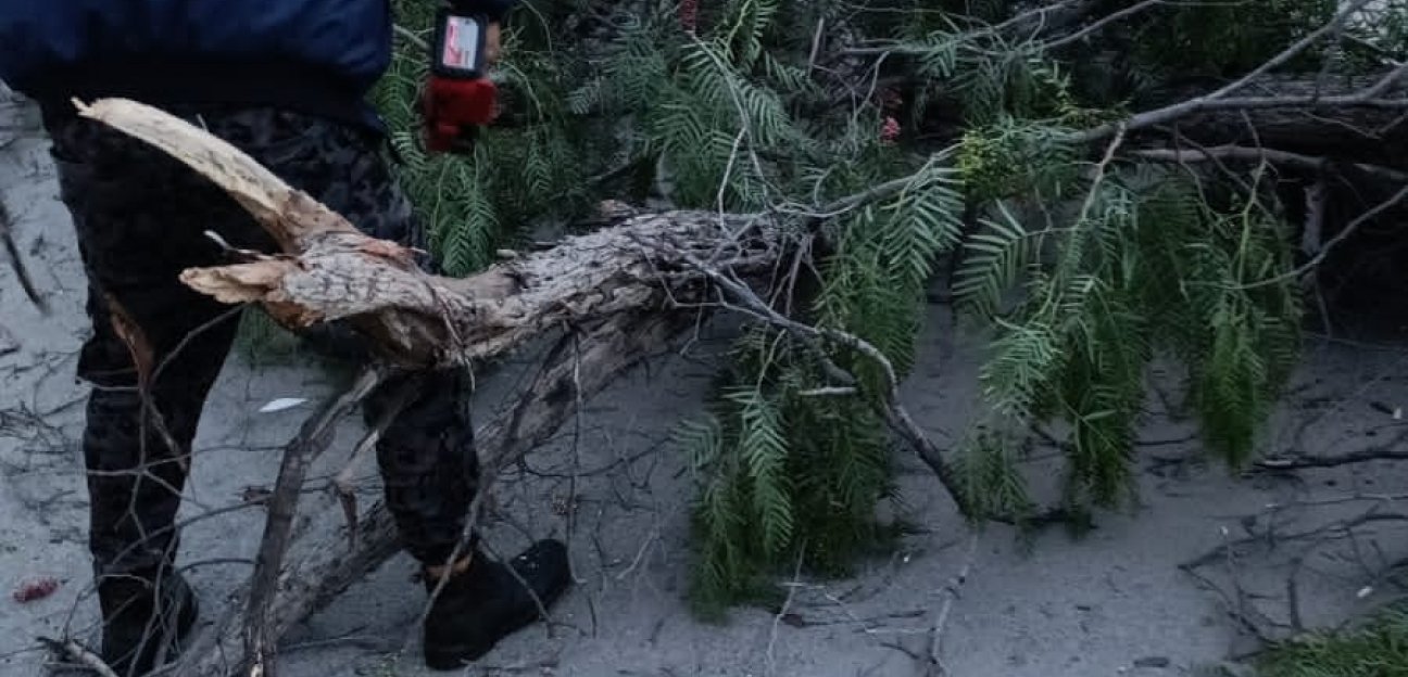 Protección Civil Municipal de Soledad se mantiene en alerta ante la posibilidad de tormentas eléctricas en las próximas horas