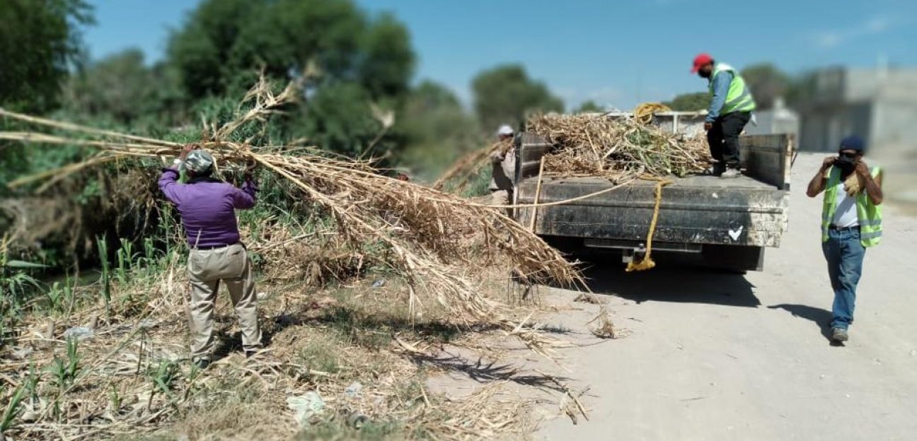 La dirección de Respuesta Ciudadana refuerza las acciones de limpieza del canalón ubicado en Villa de Cactus