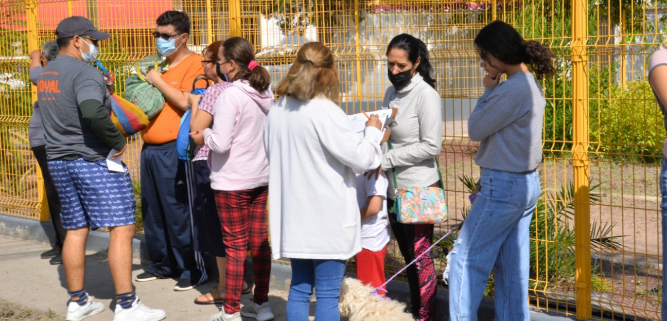 Todo un éxito resultó la primera campaña de Esterilización y Vacunación Antirrábica para caninos y felinos en Soledad