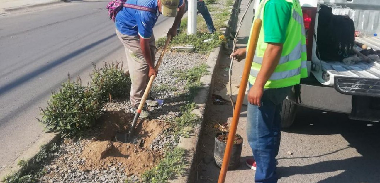 La dirección de Servicios Municipales de Soledad de Graciano Sánchez rehabilitó el espacios públicos del fraccionamiento Puerta Real