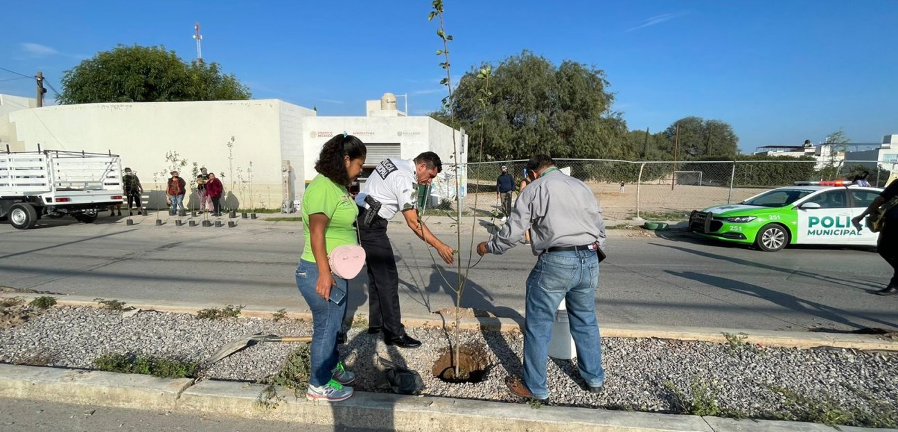 Continúa el programa de reforestación en colonias de Soledad