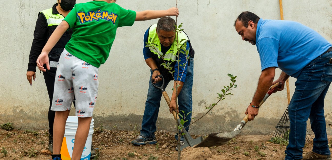La coordinación de Ecología de Soledad ha sembrado más de 5 mil 500 árboles en el municipio