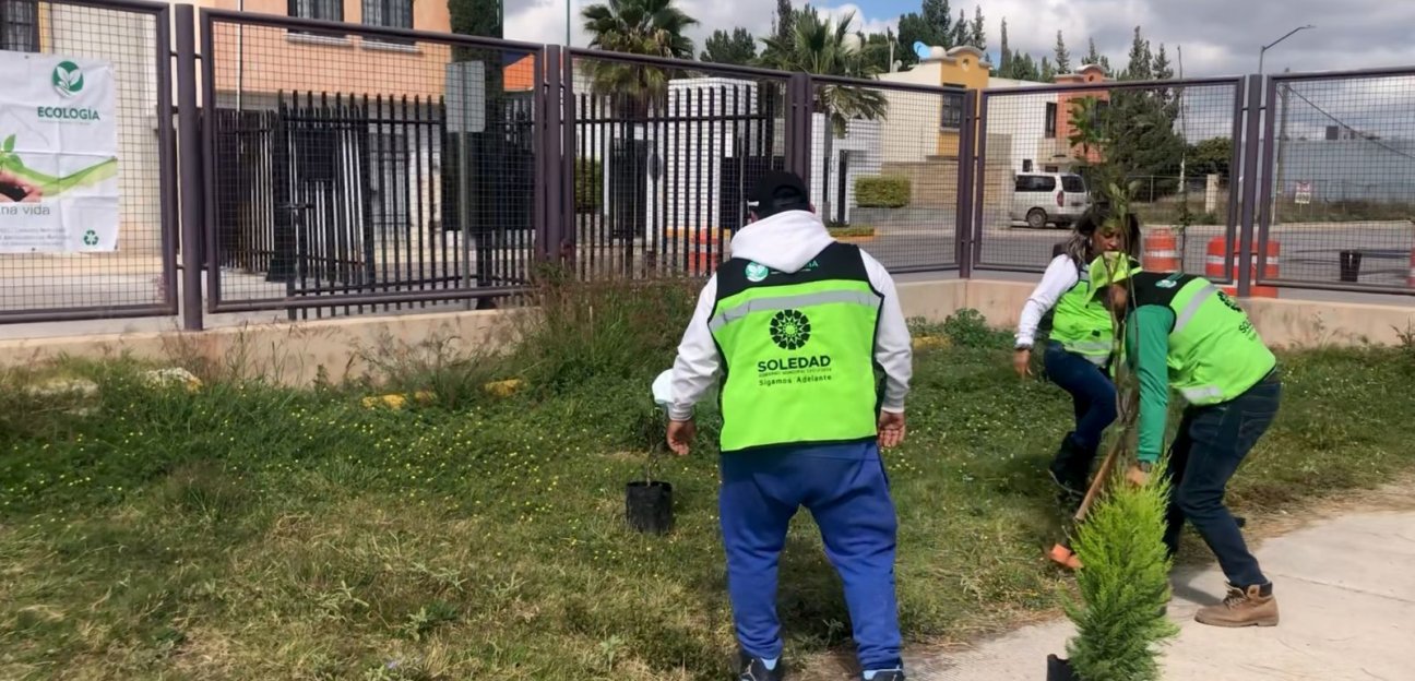 Ecología de Soledad reforesta espacios del Hospital General de Soledad