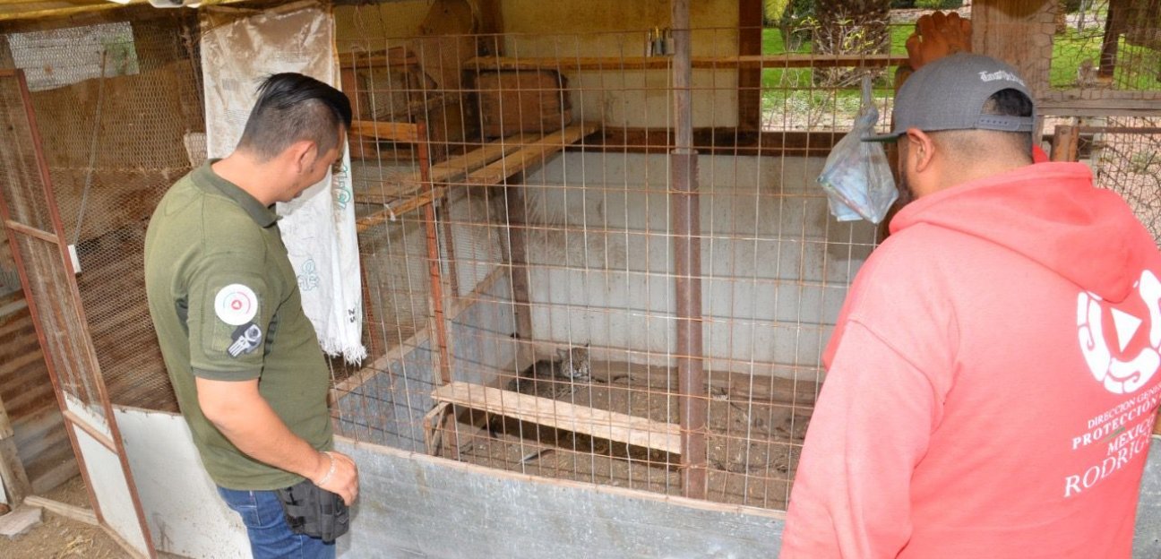 El gobierno de Leonor Noyola Cervantes se mantiene pendiente del cumplimiento de las normas en el municipio para cuidar la integridad de los ciudadanos