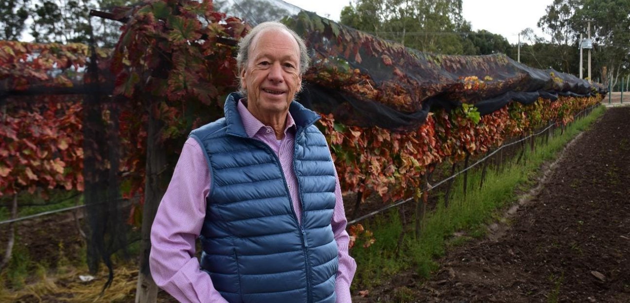 Soledad es tierra fértil para la producción de vid